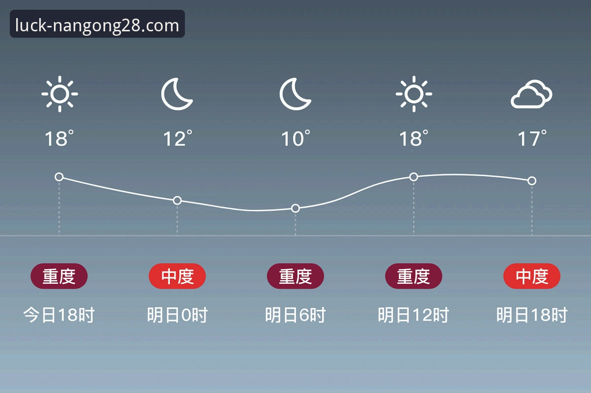 南宫28官网功能与体验详解：从版本更新到用户反馈的全面分析